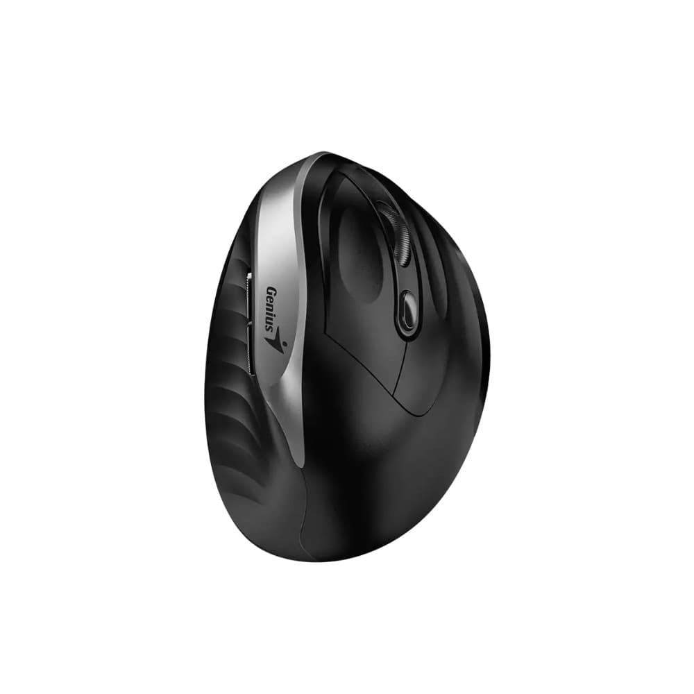 Mouse Genius Ergo silver  8250, vista 1