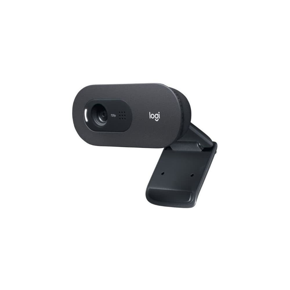 Camara Logitech WEB C505e, vista 1